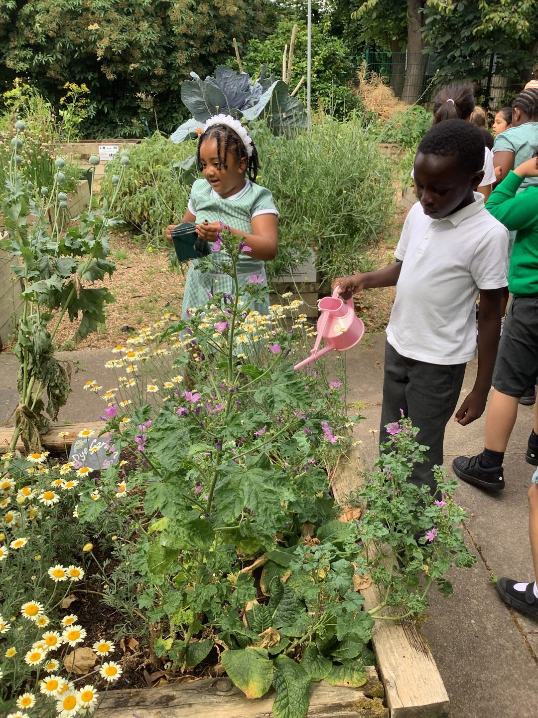 Year 1 Gardening - Hoxton Garden Primary School