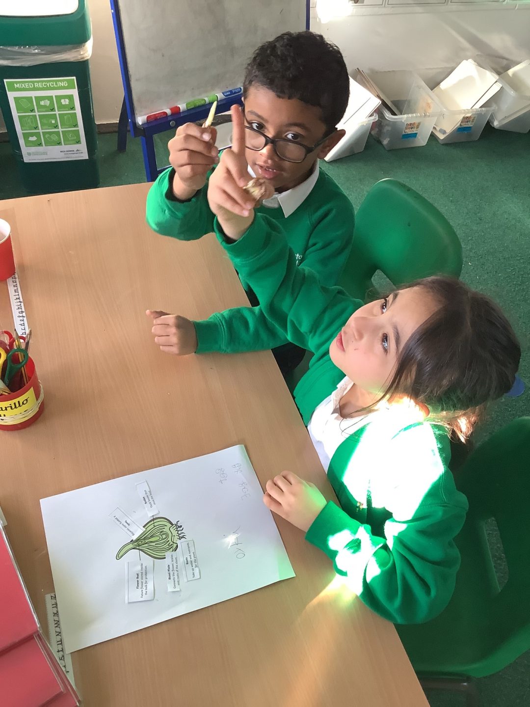 Year 2 Look Inside A Daffodil - Hoxton Garden Primary School