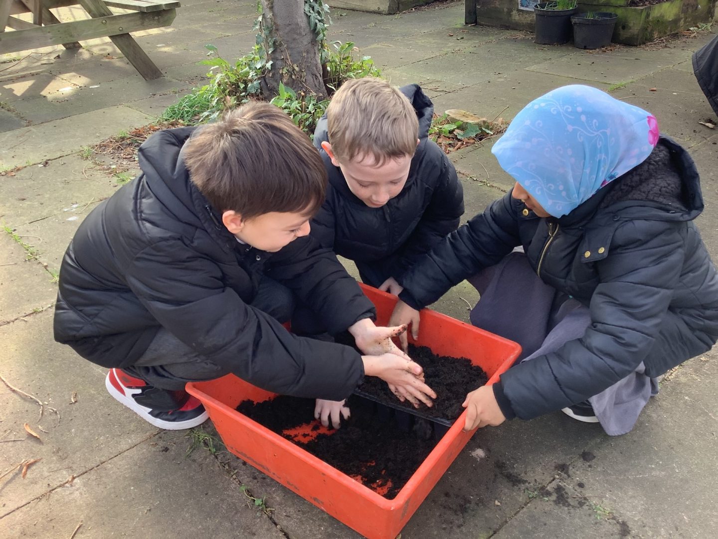 Year 3 Gardening - Hoxton Garden Primary School