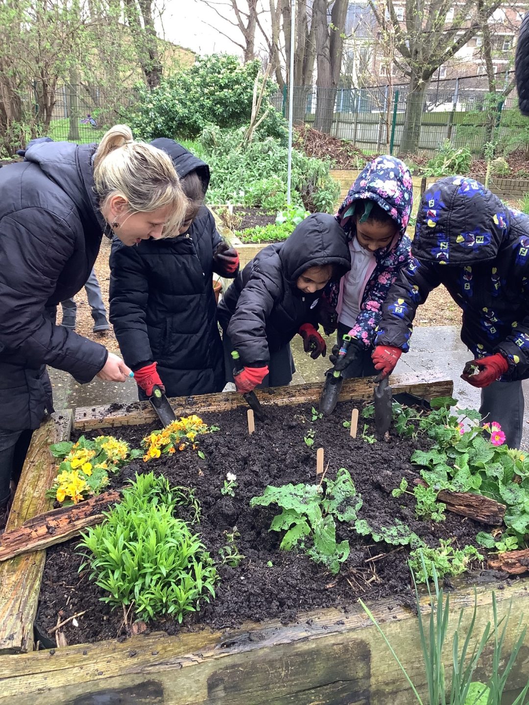 Year 2 Plant Moth Friendly Flowers - Hoxton Garden Primary School