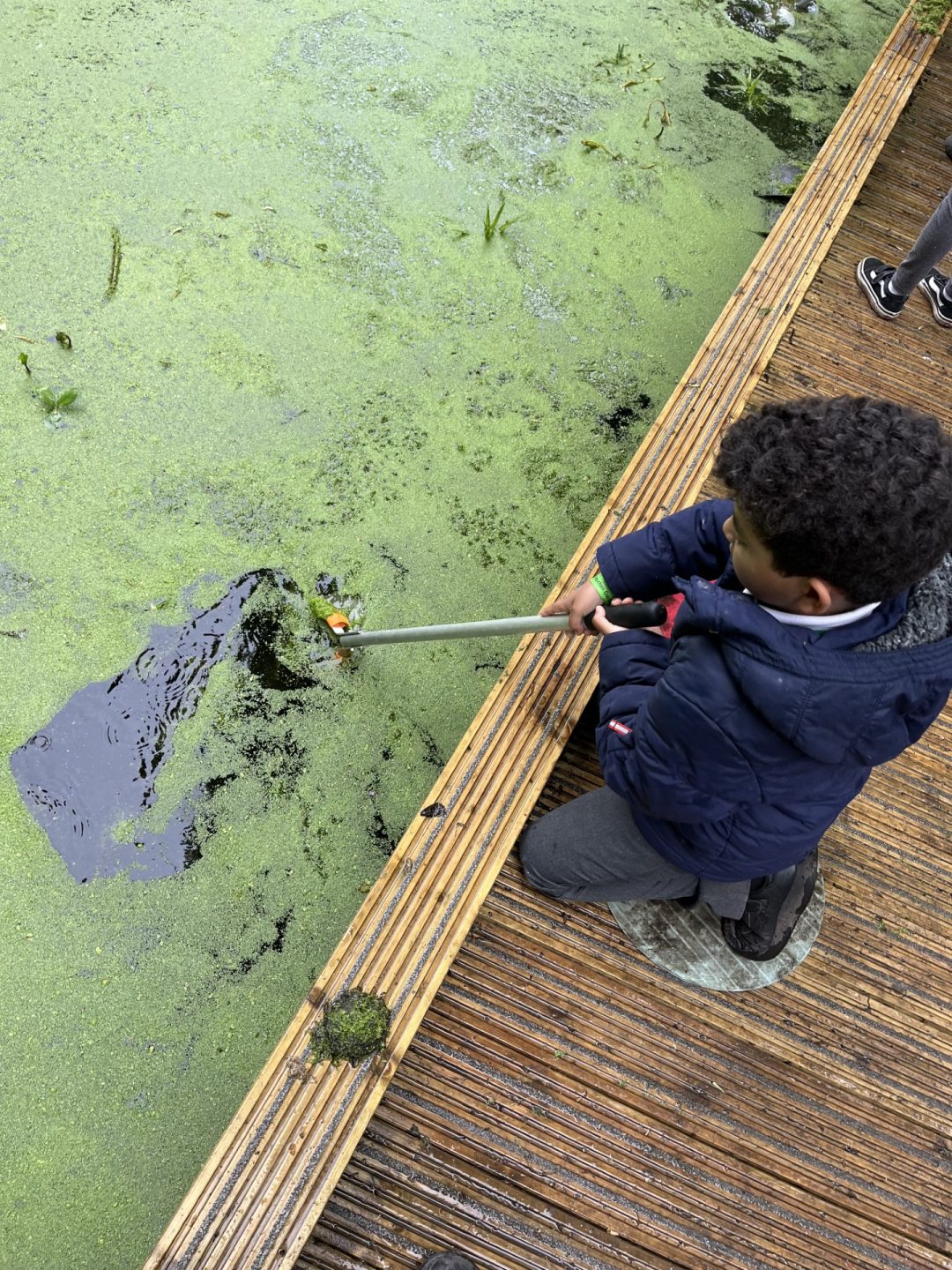 Year 2 Explore Through Microhabitats - Hoxton Garden Primary School