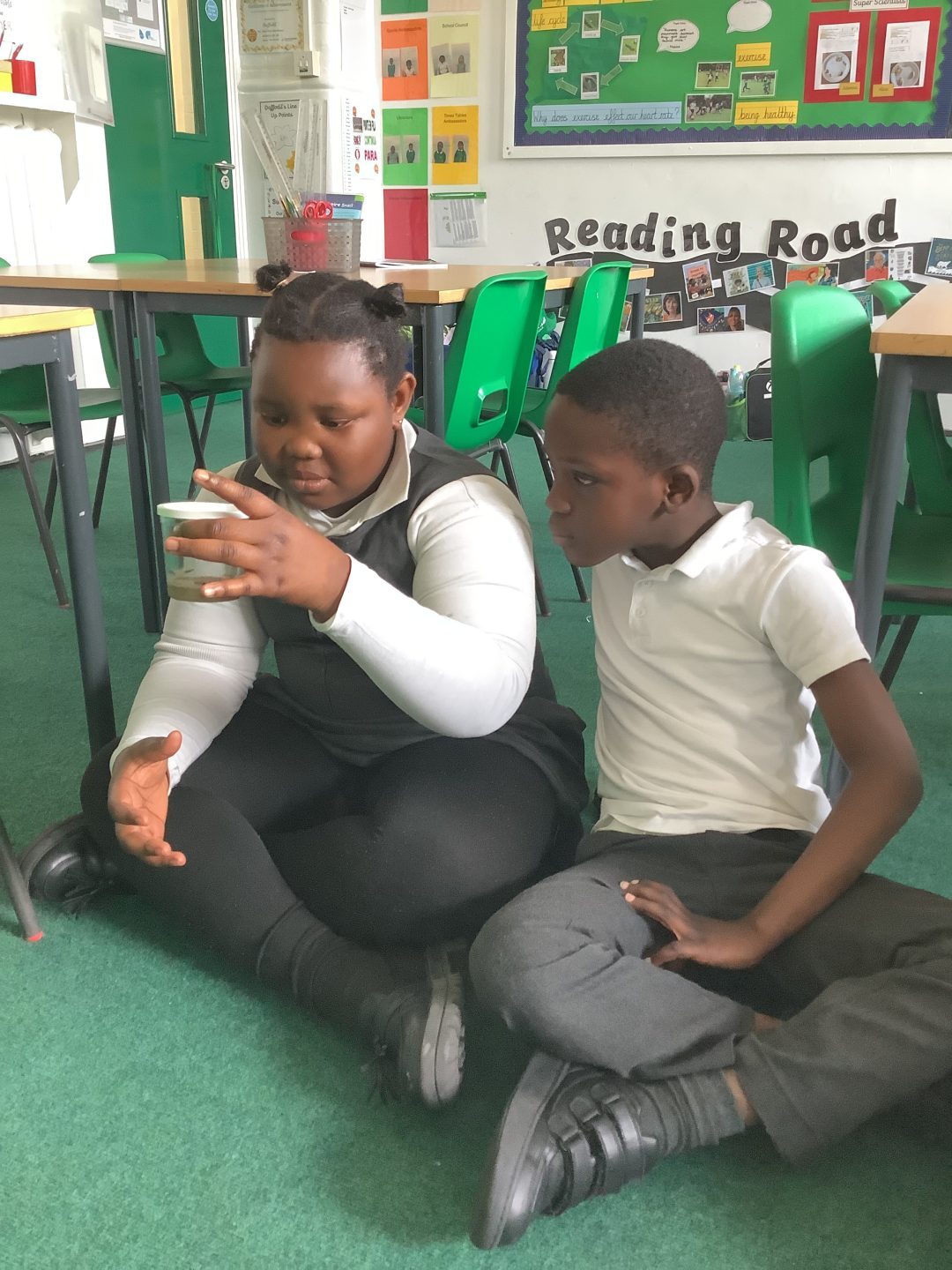 Year 2 Watch Caterpillars Grow - Hoxton Garden Primary School